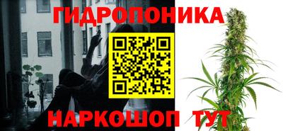 дмт Кандалакша