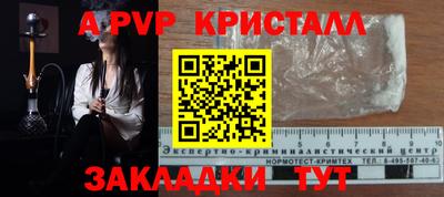 ECSTASY Канаш
