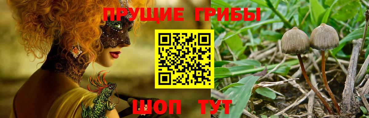 Галлюциногенные грибы мухоморы  Вход с VPN  Кировск 